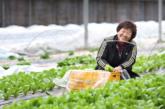 초정공동체 이미지