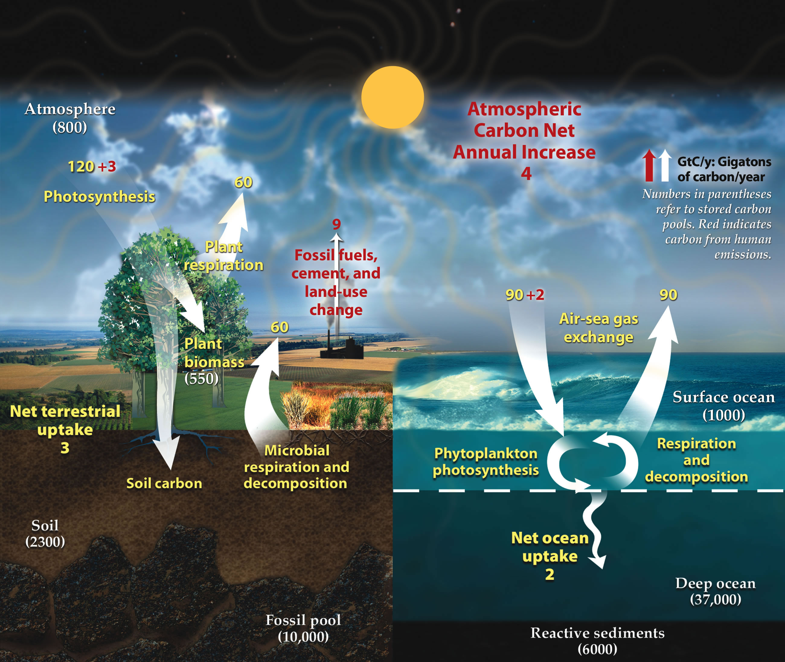 how-seafloor-weathering-drives-the-slow-carbon-cycle-the-university