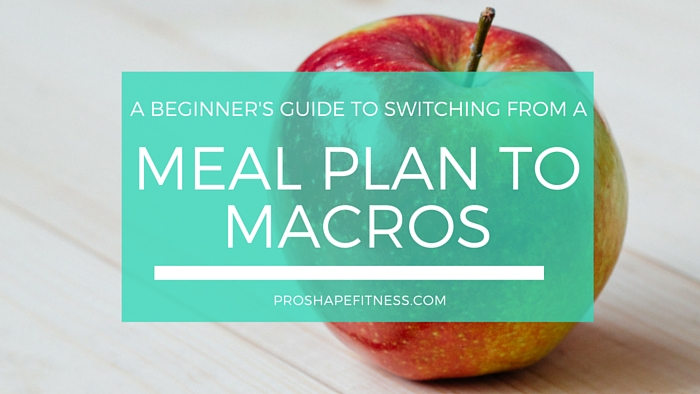 Macro Dieting Meal Plans For Women