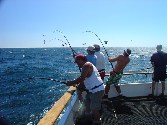 2016-04-13-1460580401-9528713-long_range_hookup_rec_fishing_noaa_c.heberer.jpg