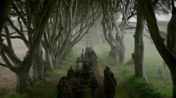 2016-04-21-1461246187-1779628-DarkHedges.jpg