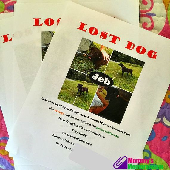 Lost Dog Flyers to help find our missing rescue dog