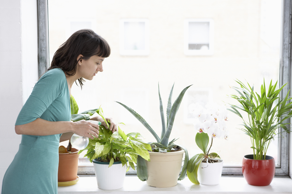 how-to-keep-flowers-fresh-and-make-them-last-longer