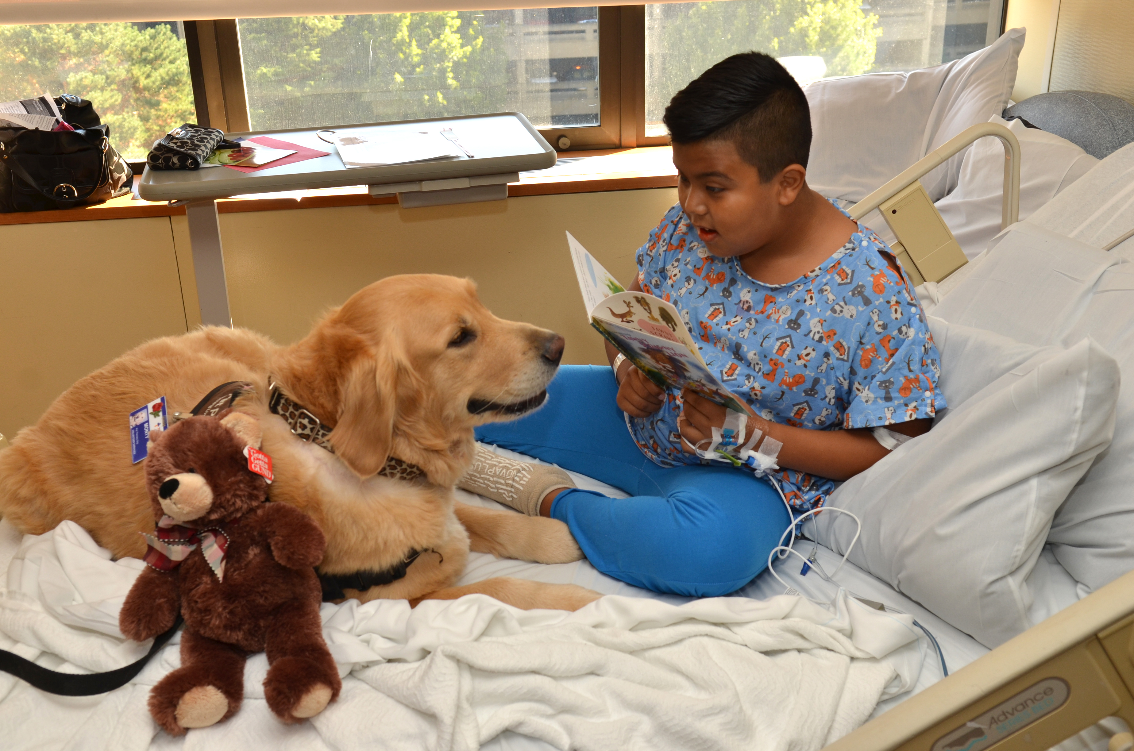 Celebrating Therapy Animals During National Pet Month | HuffPost Impact