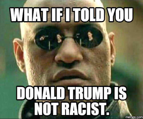 Image result for what if I told you trump is not racist