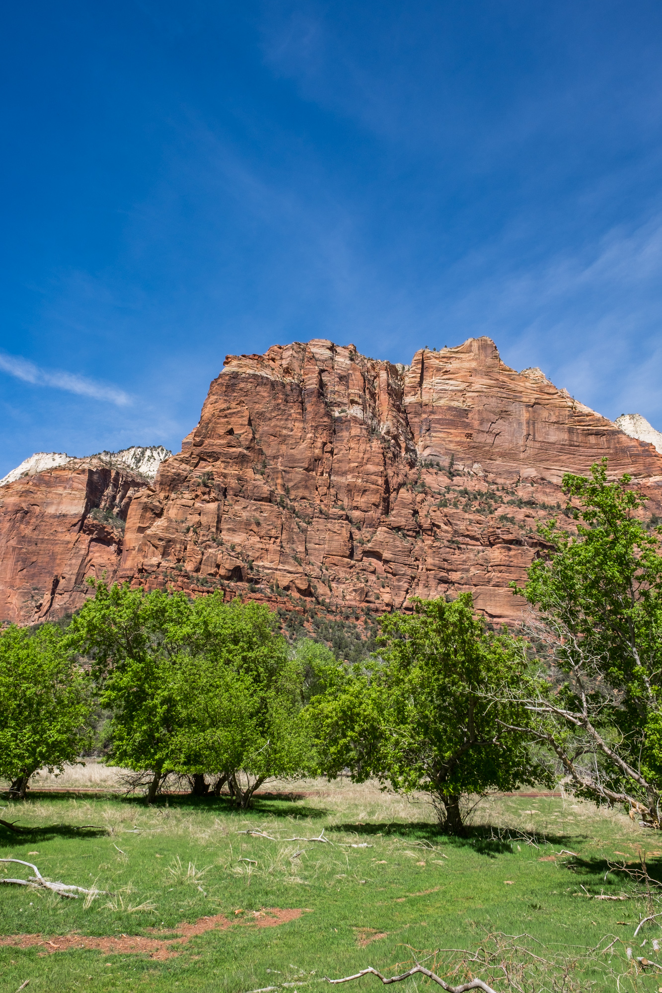 The Best Of Zion National Park | HuffPost