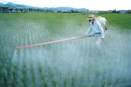 [Image: 2016-06-16-1466095280-1569978-GlyphosateSpraying.jpg]