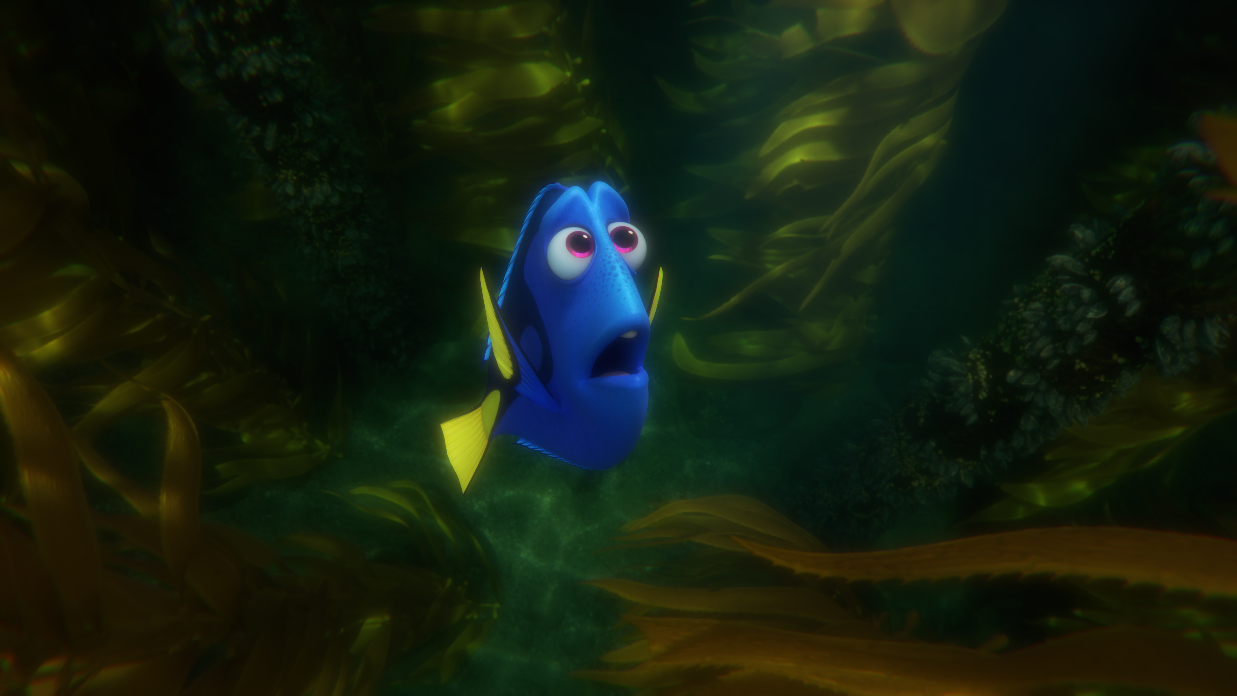 Finding Dory 3 Reasons To See It 1 Reason Why Not Huffpost