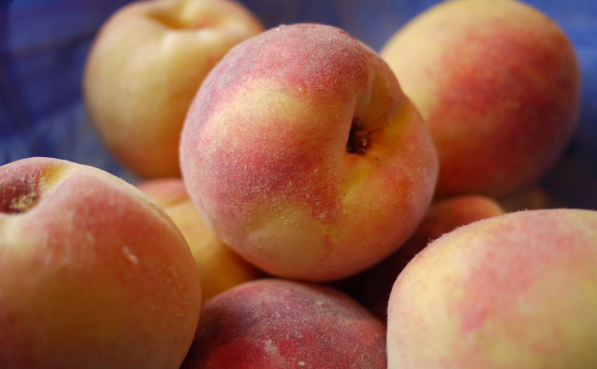 We Re In For A Major Peach Shortage In The Northeast This Summer Huffpost