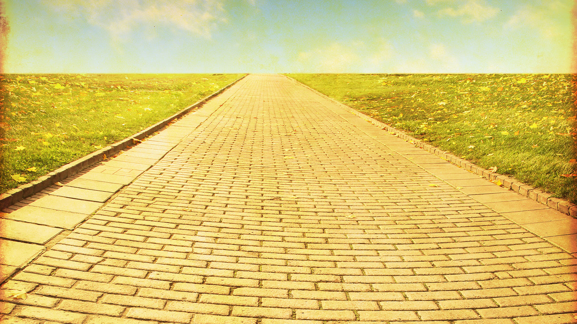 To Live Is To Leave... Along A Yellow Brick Road | HuffPost College