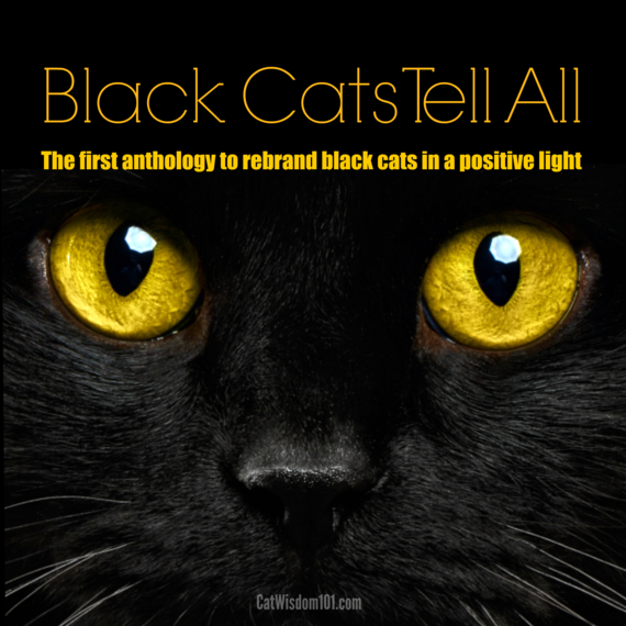 2016-06-27-1467063949-7417701-black_cats_tell_all.png