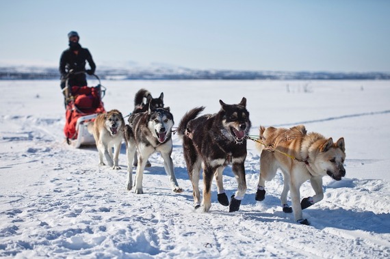 2016-07-14-1468518896-9492862-dogsled_pixabay.com.jpg