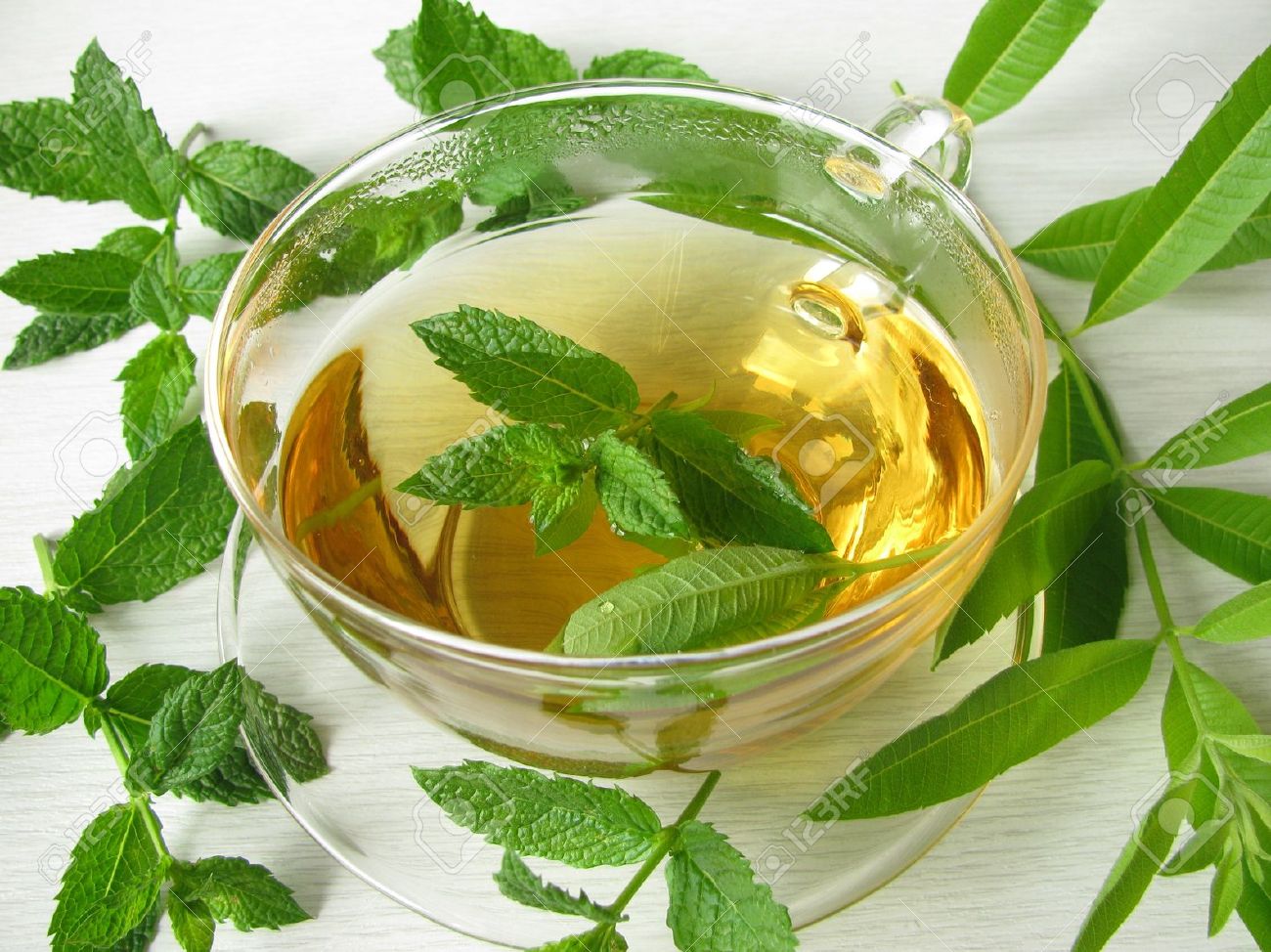 ILUSTRASI teh herbal dengan peppermint.