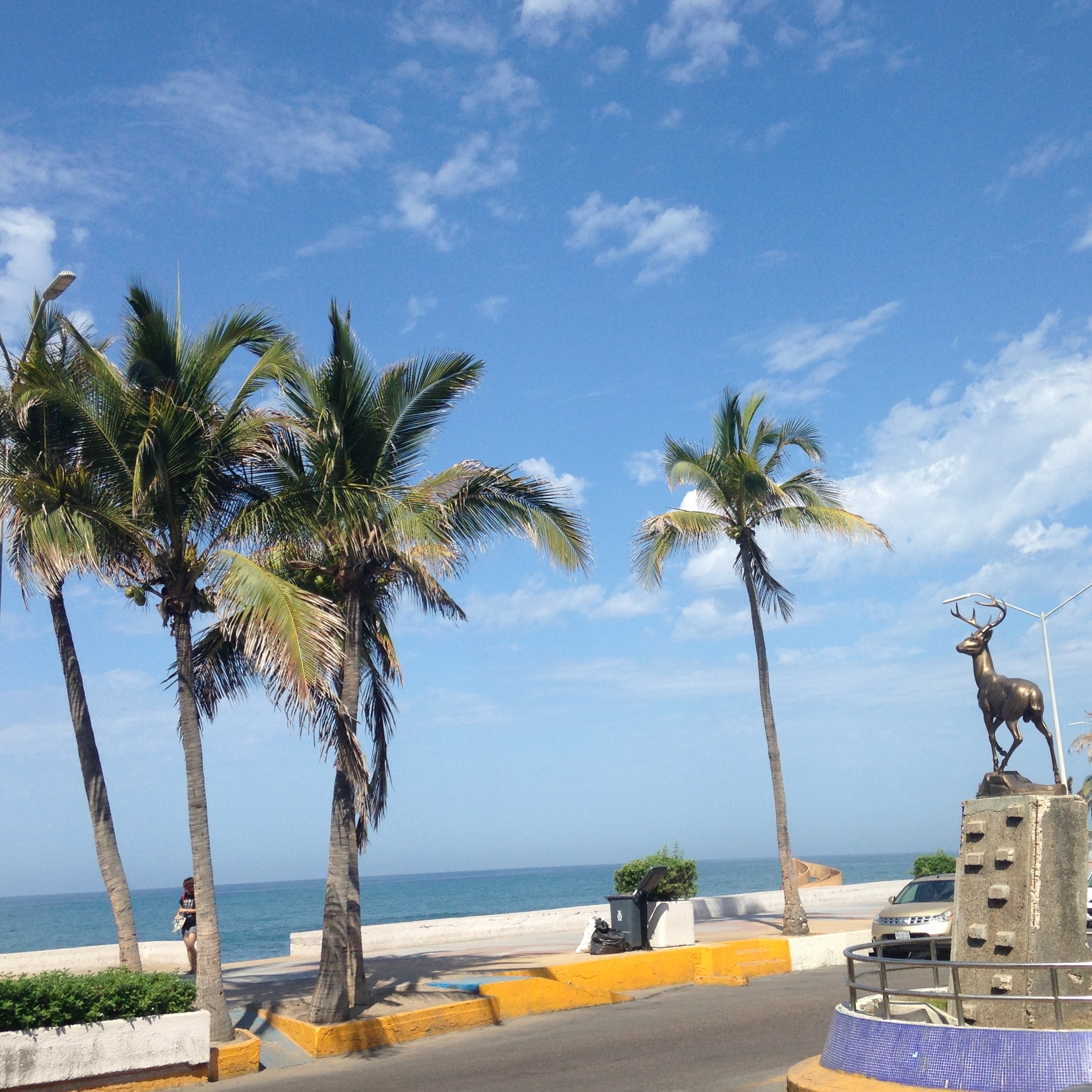 A Food Lovers Guide to Mazatlan, Mexico HuffPost Life image
