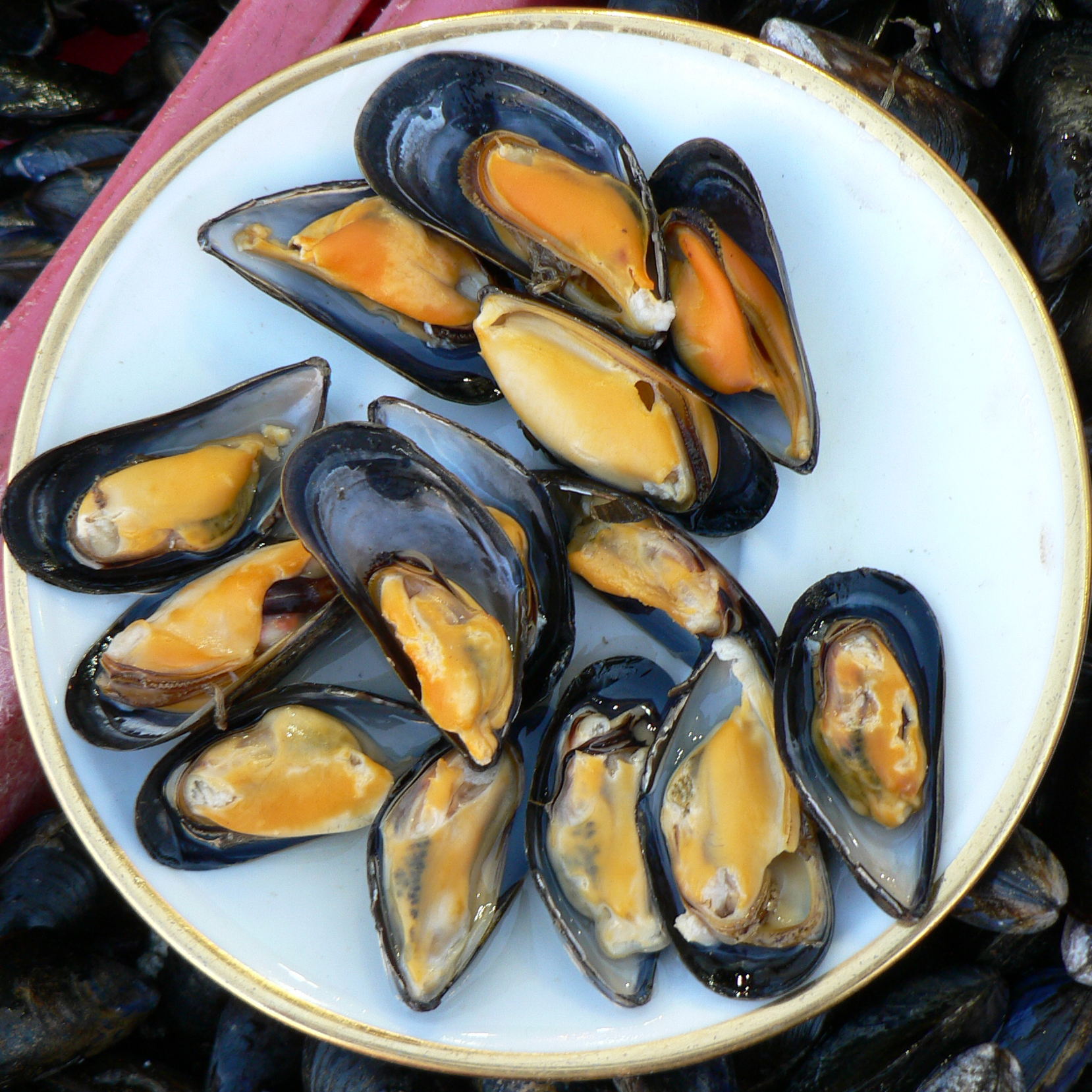 Microwaveable Mussels A Modern Marvel HuffPost Life