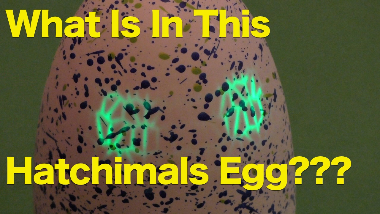 Hatchimals Toy Reveal, Time To Guess What Is In The Egg? | HuffPost