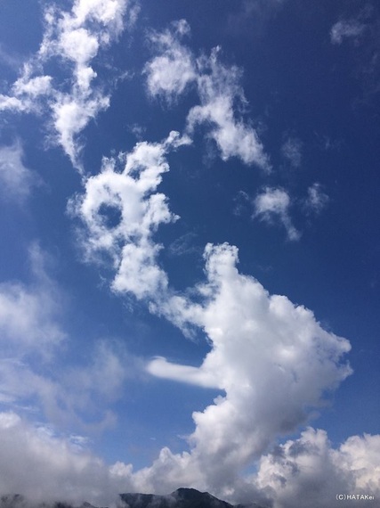 2016-11-02-1478054961-1747795-20161030hatakei15.jpg