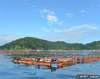 2016-11-02-1478067697-2723038-20161102burikagoshima.jpg
