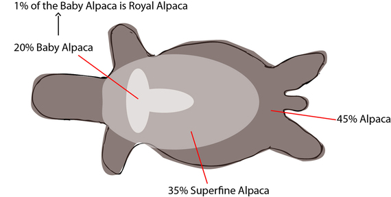 2016-11-12-1478962339-89935-alpacafleecefinalSMALL.jpg