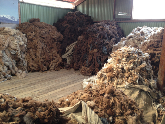2016-11-12-1478962401-2513408-fleeces.jpg