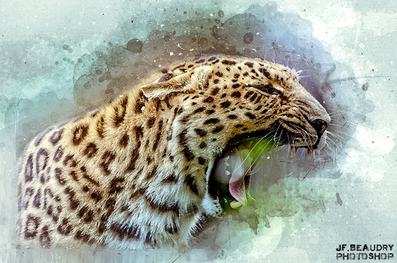 2016-11-21-1479742199-53718-WATERCOLOR.jpg