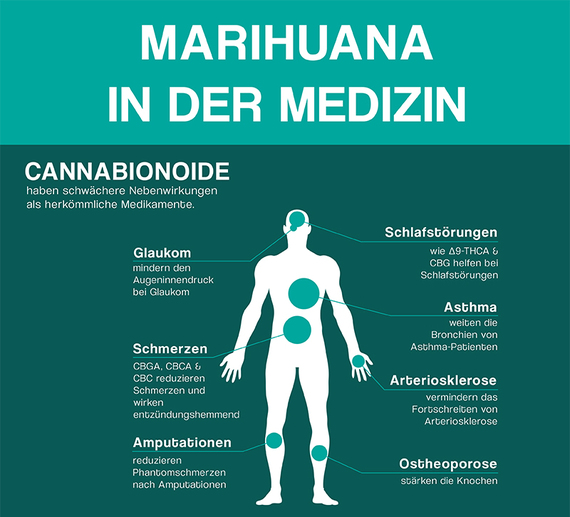 Bei Diesen Krankheiten Hilft Medizinisches Marihuana