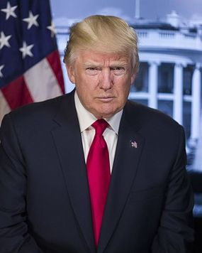 2017-02-03-1486138715-7406059-384pxDonald_Trump_official_portrait.jpg