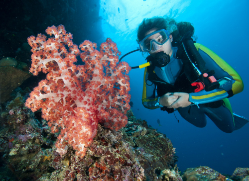 2017-05-18-1495131006-7956848-Boyscubadiving.jpg