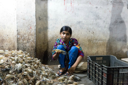 2017-05-18-1495131354-1746095-Bangladeshgirlsortsshrimp.jpg