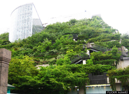 Rooftop Garden