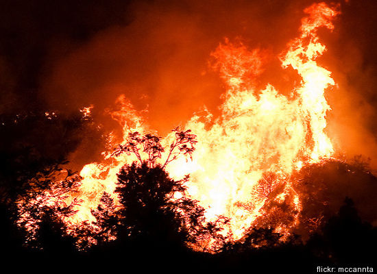 From Flickr user mccannta: Flames from La Cresenta in the Station Fire in Southern California. 