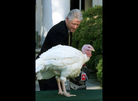 Clinton Turkey Pardon