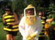 Where My Bees At?  Five Brothers Rap and Dance To Save The Honey Bees