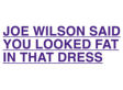 Joe Wilson Is Your Pre-Existing Condition: New Website Takes Shots At 'You Lie' Congressman