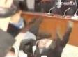 The Best Political Brawls From Around The World (VIDEO)
