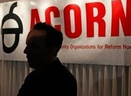 Acorn