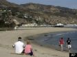 Cheronda Guyton: Wells Fargo Exec Fired For Using Reclaimed Malibu Home