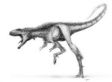 Adapt We Must: What the Dinosaurs Can Teach Us About Current Challenges