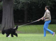 Michelle Obama Walks Bo: Guess What Music She's Listening To! (PHOTOS)