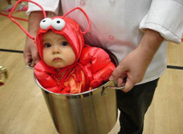 Lobster Kid