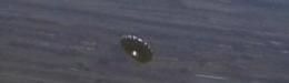 "Balloon Boy" ALIVE (VIDEO): 6-Year-Old Falcon Heene Was Never In The Aircraft