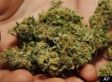 Marijuana Critic Hired By Colorado Newspaper