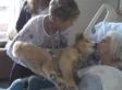 BAXTER: The World's OLDEST End Of Life Therapy Dog Dies (VIDEO)
