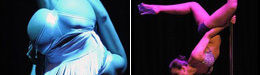 Miss Pole Dance Argentina 2009: Sexy Or Scary? (PHOTOS, POLL)