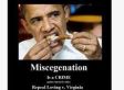 RNC Facebook Photo Taken Down: Racist Anti-Obama Picture