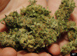 Cannabis Cafe: First U.S. Marijuana Cafe Opens In Portland