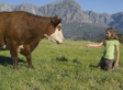 Quitting Meat: A Process Of Change
