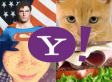 Funniest Yahoo Answers Of All Time (PHOTOS, POLL)