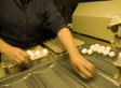 The Future of Factory Farming: Barack Obama and the 