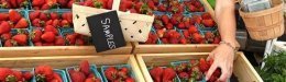 Seven Great Questions To Ask Your Farmer
